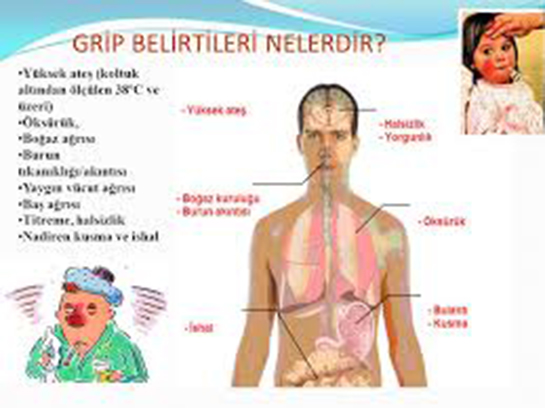 Grip Belirtileri