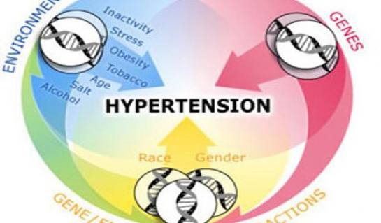Hipertansiyon Belirtileri ve Tedavisi