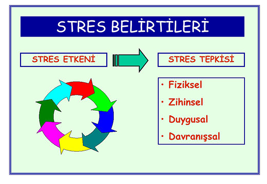 Stres Belirtileri